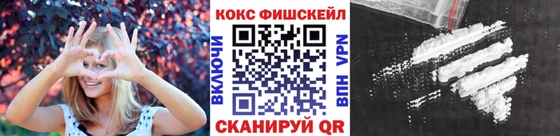 Кокаин Fish Scale  купить наркоту  Бор 