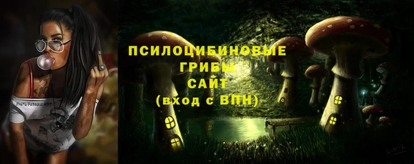 PSILOCYBIN Балабаново