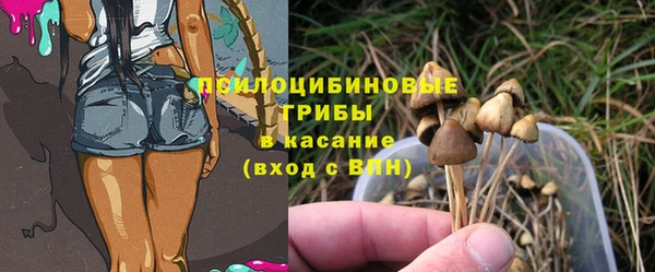 прущая мука Балахна
