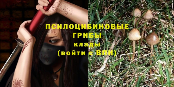 бутират Няндома