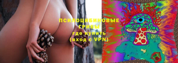 гидра Нягань