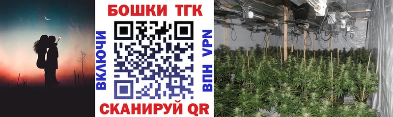 Бошки Шишки индика  магазин продажи наркотиков  Бор 